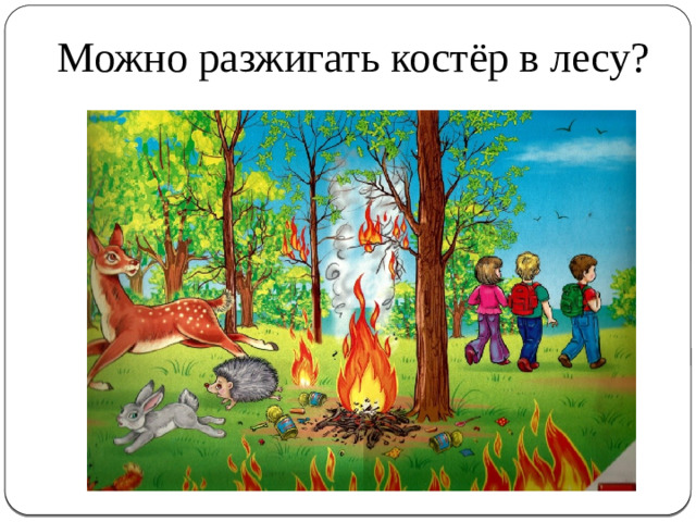 Можно разжигать костёр в лесу?