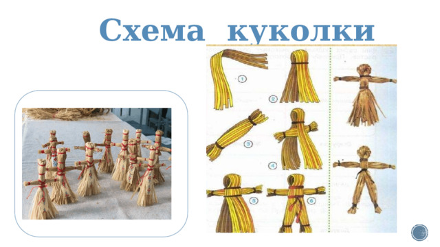 Схема куколки