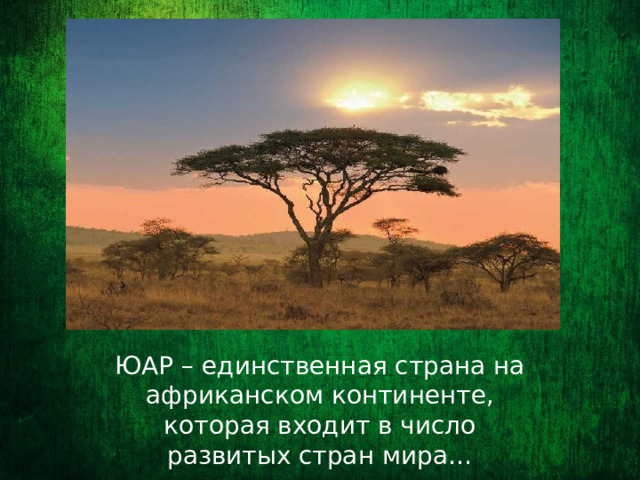 ЮАР – единственная страна на африканском континенте, которая входит в число развитых стран мира…