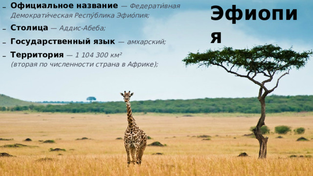 Официальное название — Федерати́вная Демократи́ческая Респу́блика Эфио́пия; Столица — Аддис-Абеба; Государственный язык — амхарский; Территория — 1 104 300 км²  (вторая по численности страна в Африке);