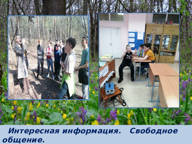 Интересная информация. Свободное общение.