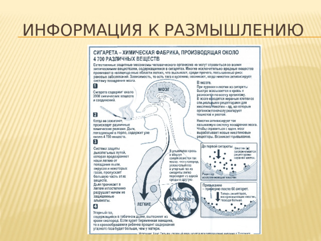 Информация к размышлению