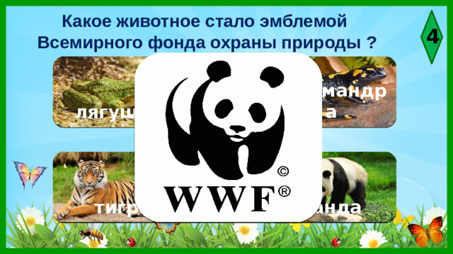 Какое животное стало эмблемой Всемирного фонда охраны природы ? 4  лягушка саламандра тигр панда