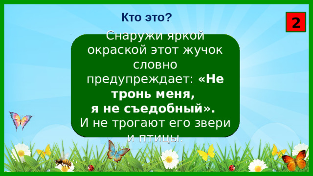 Кто это? 2 Снаружи яркой окраской этот жучок словно предупреждает: «Не тронь меня, я не съедобный». И не трогают его звери и птицы.