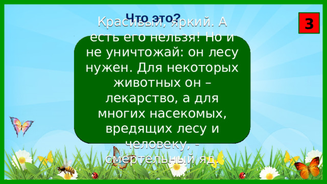 Что это? 3 Красивый, яркий. А есть его нельзя! Но и не уничтожай: он лесу нужен. Для некоторых животных он – лекарство, а для многих насекомых, вредящих лесу и человеку, - смертельный яд.