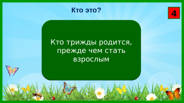 Кто это? 4 Кто трижды родится, прежде чем стать взрослым