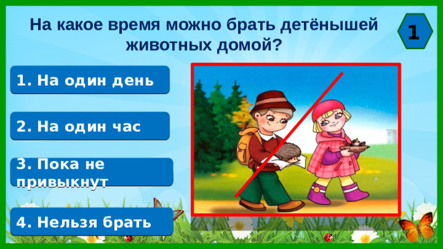 На какое время можно брать детёнышей животных домой? 1 1. На один день 2. На один час 3. Пока не привыкнут 4. Нельзя брать
