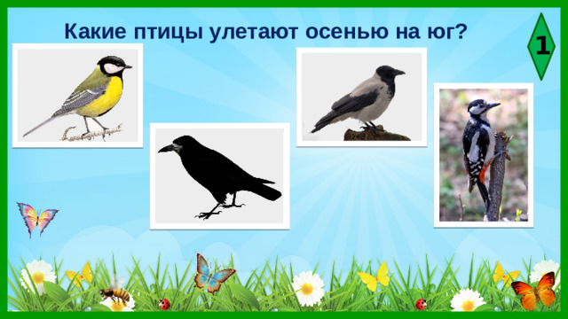 Какие птицы улетают осенью на юг? 1