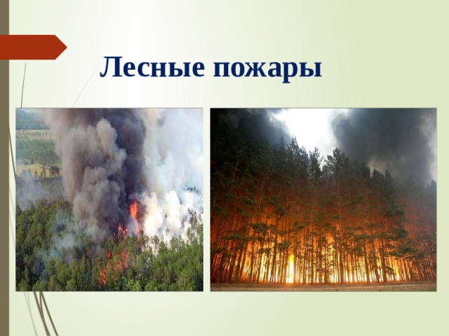 Лесные пожары