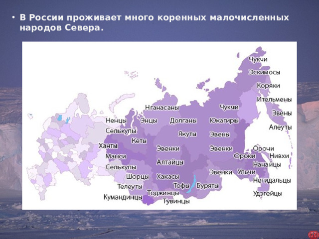 В России проживает много коренных малочисленных народов Севера.