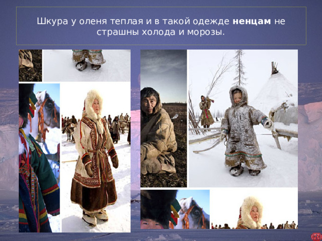 Шкура у оленя теплая и в такой одежде  ненцам  не страшны холода и морозы.