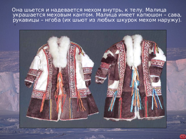 Она шьется и надевается мехом внутрь, к телу. Малица украшается меховым кантом. Малица имеет капюшон – сава, рукавицы – нгоба (их шьют из любых шкурок мехом наружу). .