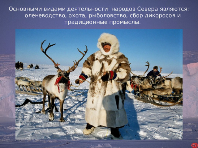 Основными видами деятельности народов Севера являются: оленеводство, охота, рыболовство, сбор дикоросов и традиционные промыслы.