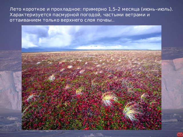 Лето короткое и прохладное: примерно 1,5–2 месяца (июнь–июль).  Характеризуется пасмурной погодой, частыми ветрами и оттаиванием только верхнего слоя почвы..