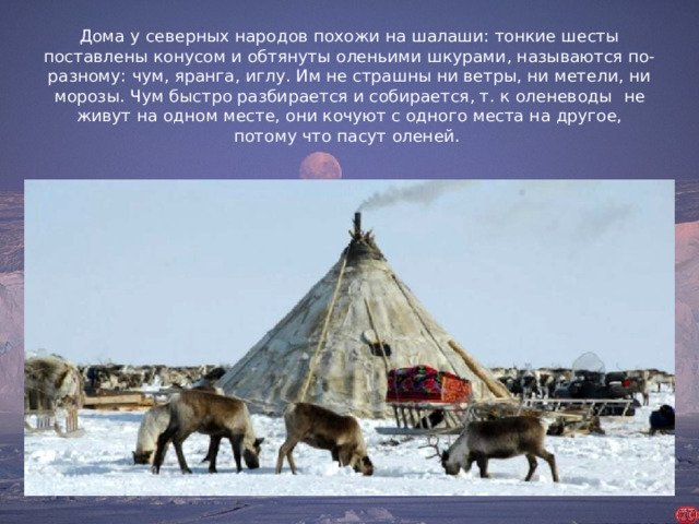Дома у северных народов похожи на шалаши: тонкие шесты поставлены конусом и обтянуты оленьими шкурами, называются по-разному: чум, яранга, иглу. Им не страшны ни ветры, ни метели, ни морозы. Чум быстро разбирается и собирается, т. к оленеводы   не живут на одном месте, они кочуют с одного места на другое, потому что пасут оленей.