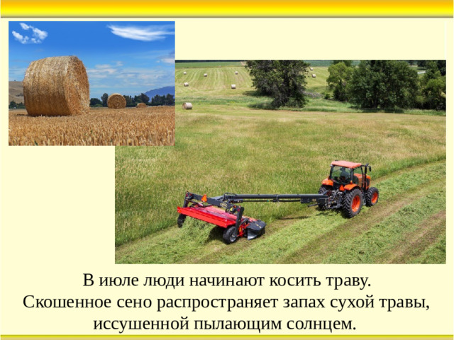 В июле люди начинают косить траву. Скошенное сено распространяет запах сухой травы, иссушенной пылающим солнцем.  