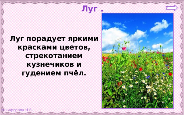 Луг . Луг порадует яркими красками цветов, стрекотанием кузнечиков и гудением пчёл.