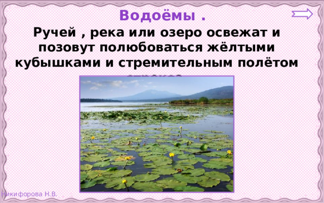 Водоёмы . Ручей , река или озеро освежат и позовут полюбоваться жёлтыми кубышками и стремительным полётом стрекоз.