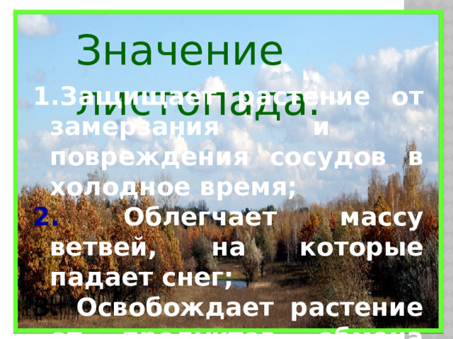 Значение листопада. Защищает растение от замерзания и повреждения сосудов в холодное время; 2. Облегчает массу ветвей, на которые падает снег; 3. Освобождает растение от продуктов обмена веществ, накопившихся в листьях за лето.