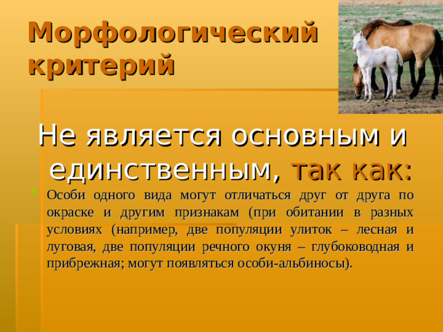 Морфологический критерий Не является основным и единственным,  так как: