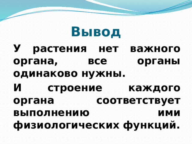 Вывод  У растения нет важного органа, все органы одинаково нужны. И строение каждого органа соответствует выполнению ими физиологических функций.
