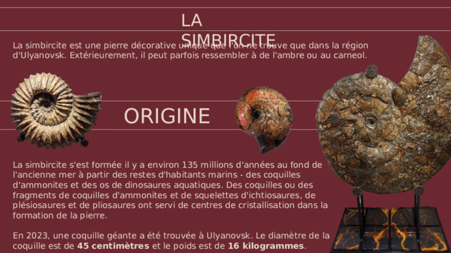 LA SIMBIRCITE La simbircite est une pierre décorative unique que l'on ne trouve que dans la région d'Ulyanovsk. Extérieurement, il peut parfois ressembler à de l'ambre ou au carneol. ORIGINE La simbircite s'est formée il y a environ 135 millions d'années au fond de l'ancienne mer à partir des restes d'habitants marins - des coquilles d'ammonites et des os de dinosaures aquatiques. Des coquilles ou des fragments de coquilles d'ammonites et de squelettes d'ichtiosaures, de plésiosaures et de pliosaures ont servi de centres de cristallisation dans la formation de la pierre. En 2023, une coquille géante a été trouvée à Ulyanovsk. Le diamètre de la coquille est de 45 centimètres et le poids est de 16 kilogrammes .