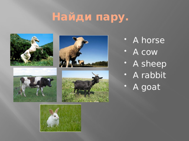 Найди пару.
