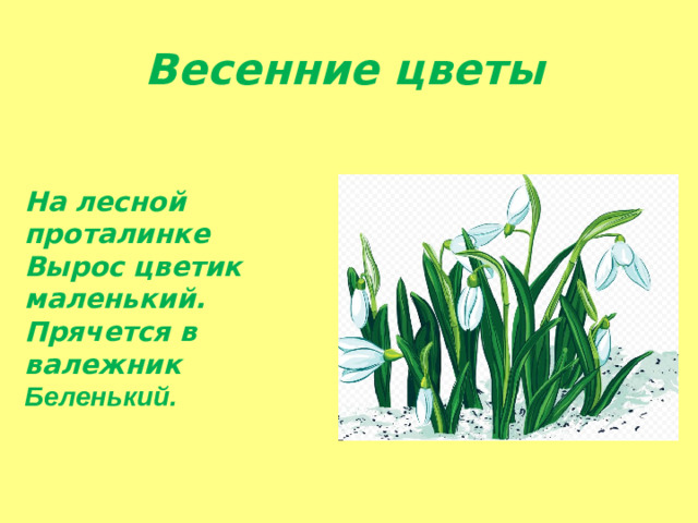 Весенние цветы На лесной проталинке Вырос цветик маленький. Прячется в валежник Беленький.