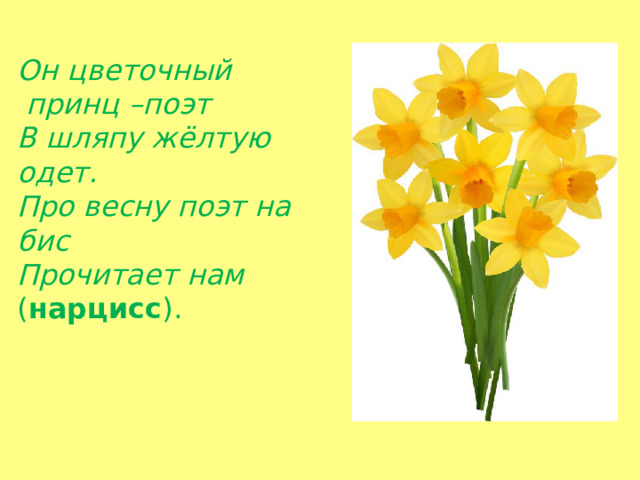 Он цветочный  принц –поэт В шляпу жёлтую одет. Про весну поэт на бис Прочитает нам ( нарцисс ).