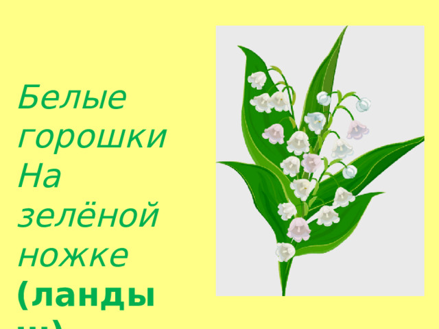 Белые горошки На зелёной ножке  (ландыш) .