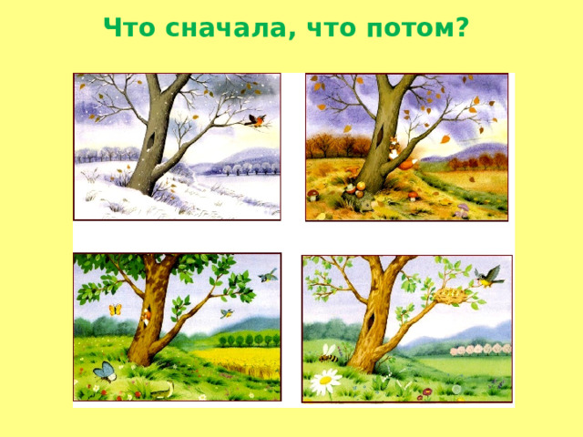 Что сначала, что потом?