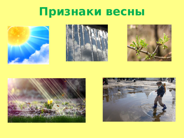 Признаки весны