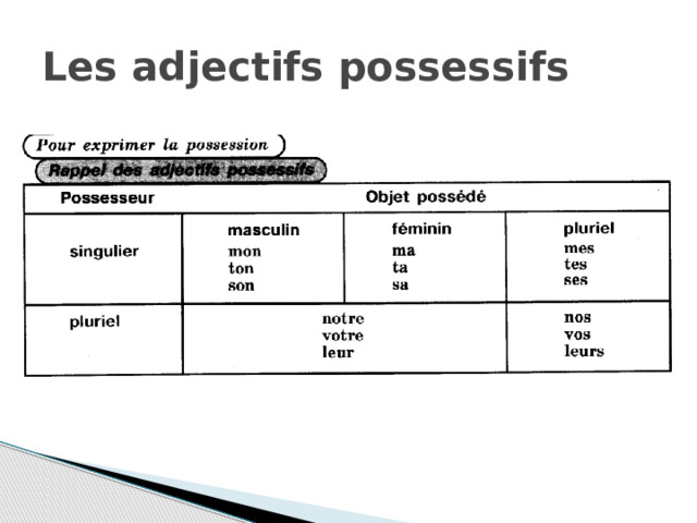 Les adjectifs possessifs