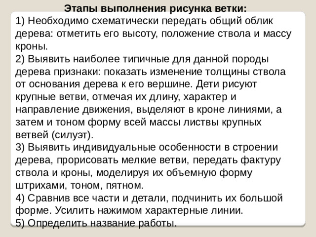 Этапы выполнения рисунка ветки: 1) Необходимо схематически передать общий облик дерева: отметить его высоту, положение ствола и массу кроны. 2) Выявить наиболее типичные для данной породы дерева признаки: показать изменение толщины ствола от основания дерева к его вершине. Дети рисуют крупные ветви, отмечая их длину, характер и направление движения, выделяют в кроне линиями, а затем и тоном форму всей массы листвы крупных ветвей (силуэт). 3) Выявить индивидуальные особенности в строении дерева, прорисовать мелкие ветви, передать фактуру ствола и кроны, моделируя их объемную форму штрихами, тоном, пятном. 4) Сравнив все части и детали, подчинить их большой форме. Усилить нажимом характерные линии. 5) Определить название работы.