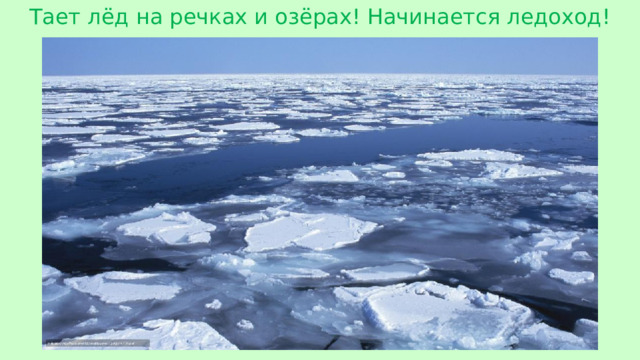Тает лёд на речках и озёрах! Начинается ледоход!