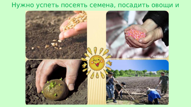 Нужно успеть посеять семена, посадить овощи и ягоды.