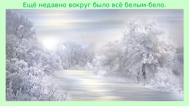 Ещё недавно вокруг было всё белым-бело.