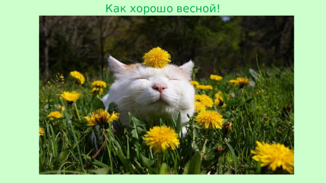 Как хорошо весной!