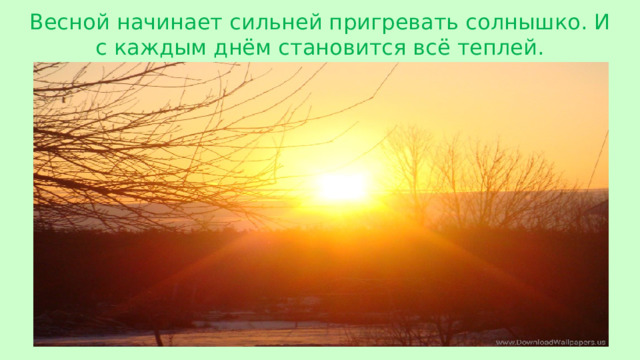 Весной начинает сильней пригревать солнышко. И с каждым днём становится всё теплей.