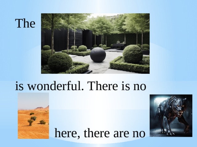 The is wonderful. There is no  here, there are no
