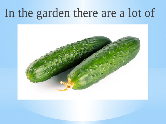 In the garden there are a lot of