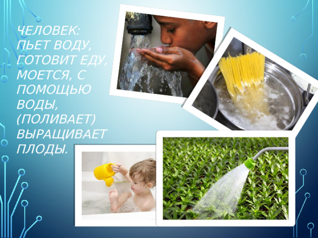 Человек: пьет воду, готовит еду, моется, с помощью воды, (поливает) выращивает плоды.