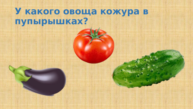 У какого овоща кожура в пупырышках?