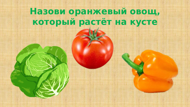 Назови оранжевый овощ, который растёт на кусте