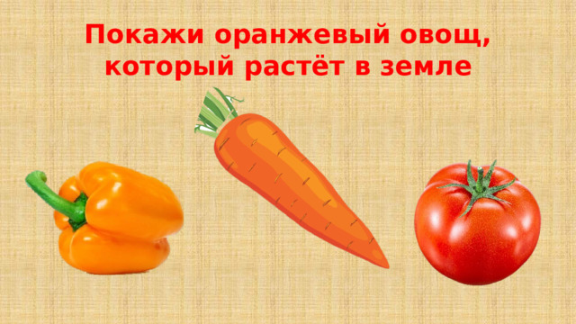 Покажи оранжевый овощ, который растёт в земле