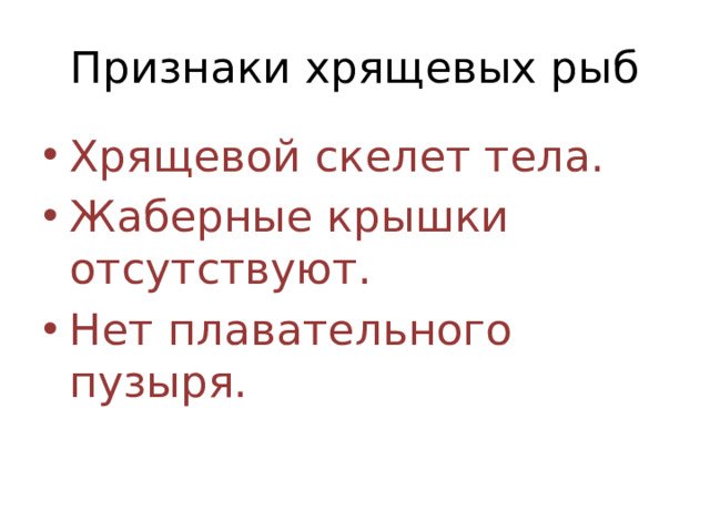 Признаки хрящевых рыб
