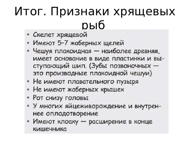 Итог. Признаки хрящевых рыб