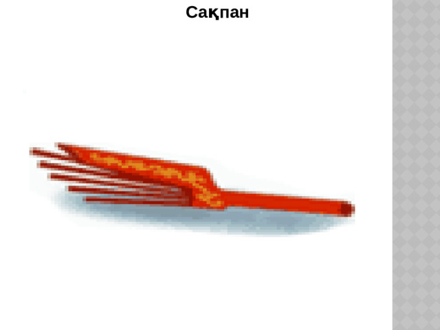 Сақпан