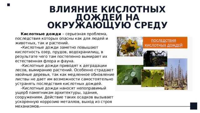 ВЛИЯНИЕ КИСЛОТНЫХ ДОЖДЕЙ НА ОКРУЖАЮЩУЮ СРЕДУ Кислотные дожди – серьезная проблема, последствия которых опасны как для людей и животных, так и растений. - Кислотные дожди заметно повышают кислотность озер, прудов, водохранилищ, в результате чего там постепенно вымирает их естественная флора и фауна. -Кислотные дожди приводят к деградации лесов, вымиранию растений. Особенно страдают хвойные деревья, так как медленное обновление листвы не дает им возможности самостоятельно устранять последствия кислотных дождей. -Кислотные дожди наносят непоправимый ущерб памятникам архитектуры, здания, сооружениям. Действие таких осадков вызывает ускоренную коррозию металлов, выход из строя механизмов.