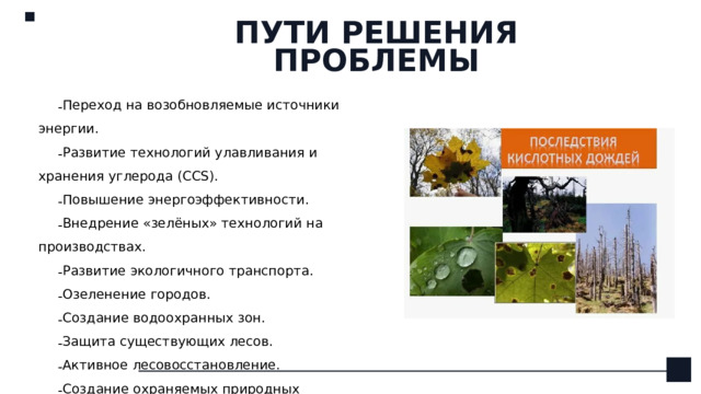 ПУТИ РЕШЕНИЯ ПРОБЛЕМЫ Переход на возобновляемые источники энергии.  Развитие технологий улавливания и хранения углерода (CCS). Повышение энергоэффективности.  Внедрение «зелёных» технологий на производствах. Развитие экологичного транспорта. Озеленение городов. Создание водоохранных зон.  Защита существующих лесов. Активное лесовосстановление. Создание охраняемых природных территорий. 